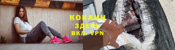 индика Алексин