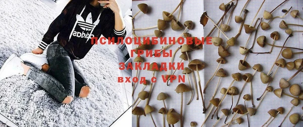 индика Алексин