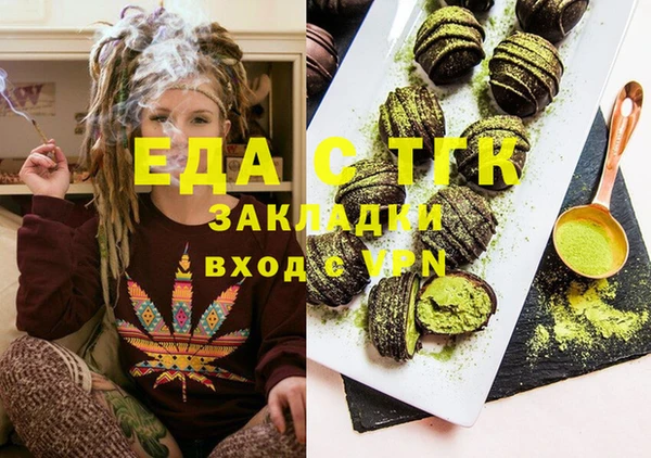 индика Алексин