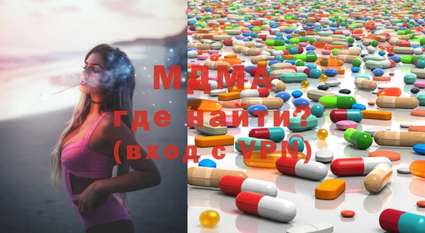 индика Алексин