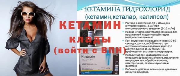 индика Алексин